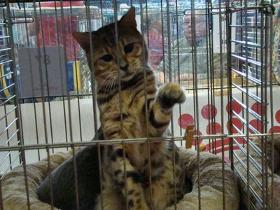 20121021_127 (Expo)